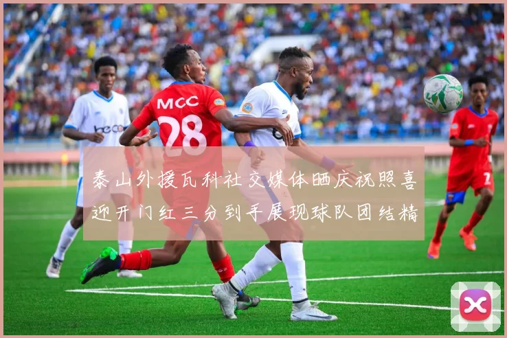 泰山外援瓦科社交媒体晒庆祝照喜迎开门红三分到手展现球队团结精神