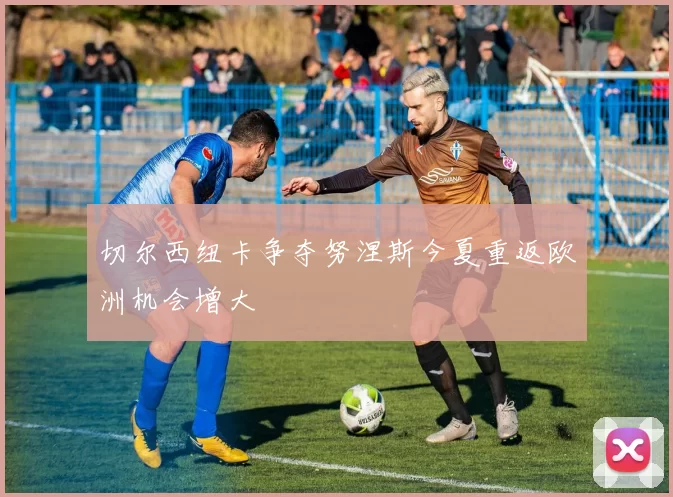 切尔西纽卡争夺努涅斯今夏重返欧洲机会增大