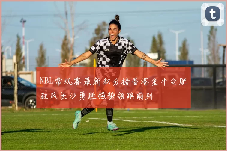 NBL常规赛最新积分榜香港金牛合肥狂风长沙勇胜强势领跑前列